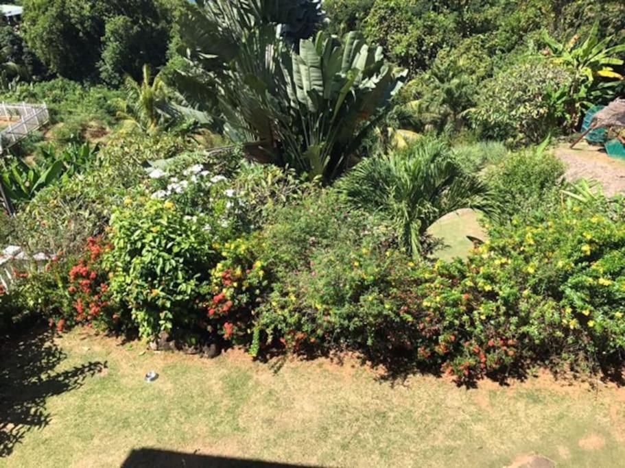 Hilltop South - Villa Bougainville Takamaka Bagian luar foto