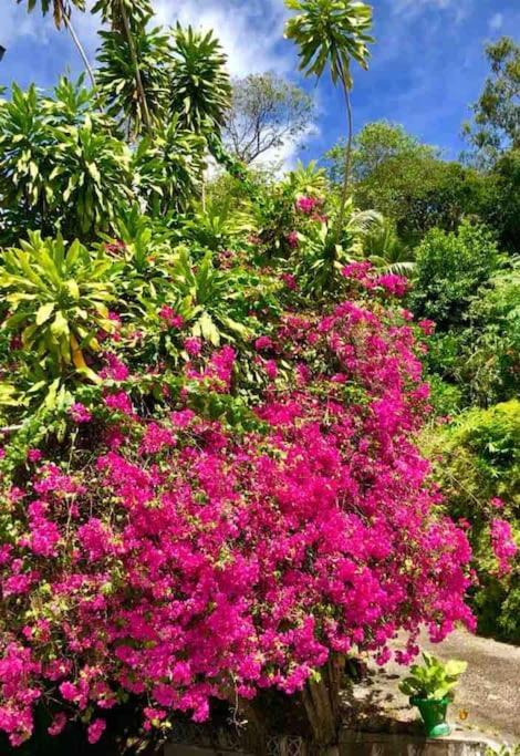 Hilltop South - Villa Bougainville Takamaka Bagian luar foto
