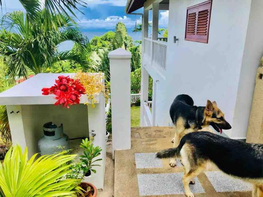 Hilltop South - Villa Bougainville Takamaka Bagian luar foto